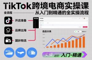 TikTok跨境电商实操课,从入门到精通的全实操流程-沧海聊项目