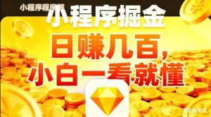 微信小程序掘金项目，日入几张，项目简单，小白一看就懂，5分钟就能学会上手操作【揭秘】-沧海聊项目
