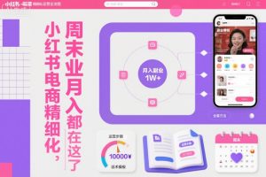 小红书电商精细化运营全流程,周末副业月入1W+,全套方法都在这了-沧海聊项目