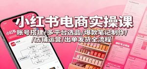小红书电商实操课：账号搭建/多平台选品/爆款笔记制作/店铺运营/出单发货全流程-沧海聊项目