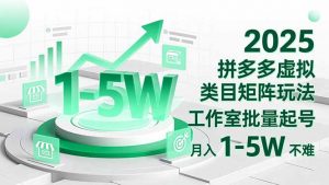 2025 拼多多虚拟类目矩阵玩法，工作室批量起号，月入 1-5W 不难-沧海聊项目