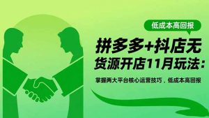 拼多多+抖店无货源开店11月玩法:掌握两大平台核心运营技巧,低成本高回报-沧海聊项目