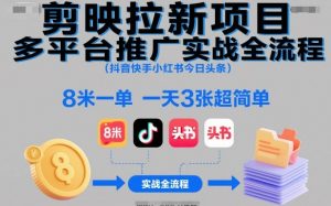 剪映拉新项目多平台推广实战全流程(抖音快手小红书今日头条)，8米一单，一天3张超简单-沧海聊项目