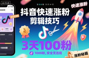 抖音快速涨粉剪辑技巧，3天1000粉，安全无违规-沧海聊项目
