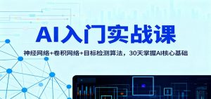AI入门实战课：神经网络+卷积网络+目标检测算法，30天掌握AI核心基础-沧海聊项目