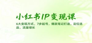 小红书IP变现课：6大变现方式，7步起号，爆款笔记打造，定位选品，流量增长-沧海聊项目