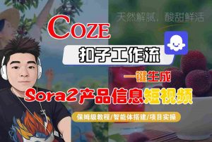 Coze扣子智能体工作流一键生成“SORA2产品信息“短视频，全流程保姆级教学-沧海聊项目