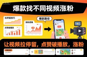 爆款找不同视频涨粉，让视频拉停留，实现点赞，破播放，涨粉-沧海聊项目