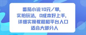 番茄小说10米每单，实拍玩法，0成本好上手，详细实操教程和平台入口适合大部分人-沧海聊项目