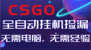 【副业好项目】全球火爆游戏CSGO自动捡漏，新手小白日入500+-沧海聊项目