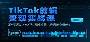 TikTok剪辑变现实战课：素材获取，PR技巧，搬运运营，解锁赚钱新技能-沧海聊项目