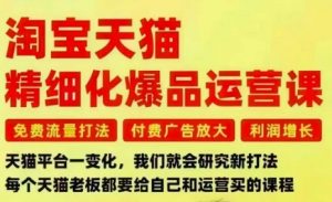 淘宝天猫精细化爆品运营课,免费流量打法-付费广告放大-利润增长-三大核心痛点,一次全部解决-沧海聊项目