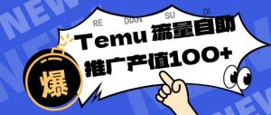 专注于Temu商家提供精准曝光浏览量,助力店铺排名提升和转化,单机日收入80-130【揭秘】-沧海聊项目