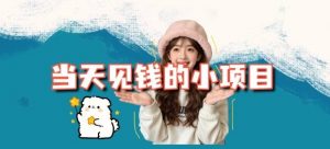 当天能收益的3个小项目拆解_包括平台+操作流程-沧海聊项目