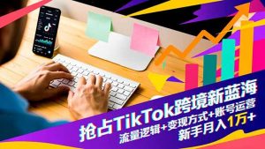 抢占TikTok跨境新蓝海:流量逻辑+变现方式+账号运营,新手月入1万+-沧海聊项目