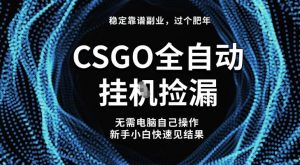 【稳定副业】全球最热门游戏CSGO全自动捡漏,最新玩法,新手小白日入5张+【揭秘】-沧海聊项目