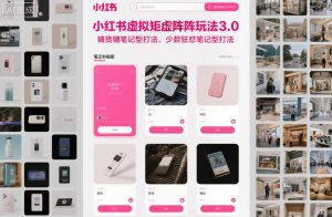 小红书虚拟矩阵玩法3.0,铺货铺笔记型打法,少款狂怼笔记型打法-沧海聊项目