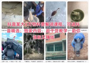 抖音某大V万物科普解说课程，可进抖音精选，独家内容，超干货教学，助你涨粉又賺钱-沧海聊项目