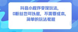 抖音小程序变现玩法,0粉丝也可以做,不需要成本,简单的玩法教程-沧海聊项目