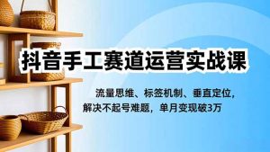 抖音手工赛道运营实战课，流量思维、标签机制、垂直定位，解决不起号难题，单月变现破3万-沧海聊项目