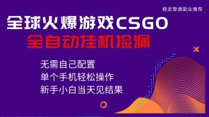 火爆游戏CSGO全自动捡漏,独家最新玩法,单个手机可操作,新手小白日入500+-沧海聊项目