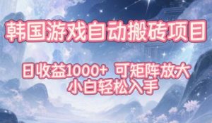 韩国游戏自动搬砖项目,日收益1k+,可矩阵放大,小白轻松入手【揭秘】-沧海聊项目