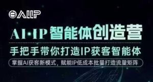 AI·IP智能体创造营，手把手带你打造IP获客智能体，高成交创始人IP课-沧海聊项目
