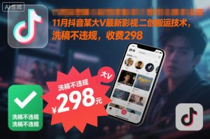11月抖音某大V最新影视二创搬运技术，洗稿不违规，收费298-沧海聊项目