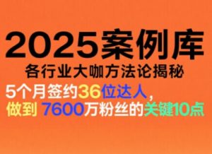 2025案例库,收录各行业大咖的方法论,各行业大咖方法论揭秘-沧海聊项目