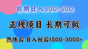 日收益500-1000+ 一台电脑在家就能做-沧海聊项目