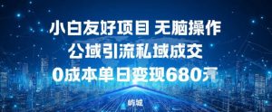 小白友好项目，无脑操作，公域引流私域成交，0成本单日变现680米-沧海聊项目