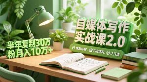 自媒体写作实战课2.0，爆款标题、内容结构、IP打造，半年复制30万粉月入10万+-沧海聊项目