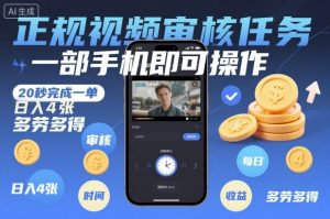 正规视频审核任务，一部手机即可操作，20秒完成一单，日入4张，多劳多得【揭秘】-沧海聊项目