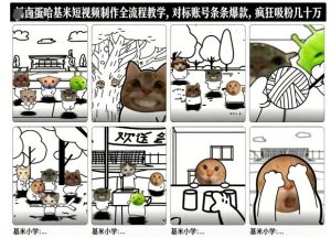 卤蛋哈基米短视频制作全流程教学，条条爆款，疯狂吸粉几十万-沧海聊项目