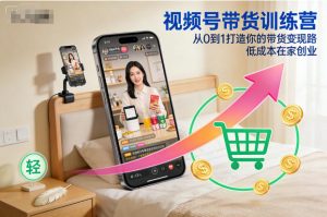 视频号带货训练营，从0到1打造你的带货变现路，低成本在家创业-沧海聊项目