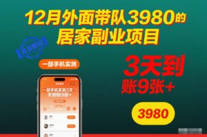 12月外面带队3980的居家副业项目，一部手机实测3天到账9张+，首发教程【揭秘】-沧海聊项目