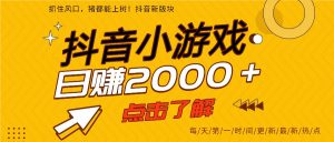 5年爆火的抖音小游戏项目，一部手机日入2000+-沧海聊项目