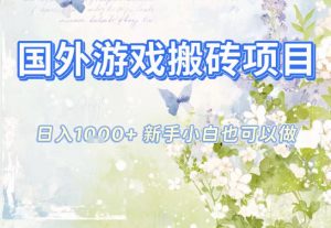 国外游戏全自动搬砖项目，日入10张，新手小白也可做，项目红利期，先搞先吃肉【揭秘】-沧海聊项目