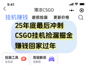 用CSGO游戏挂机捡漏掘金赚钱掘金，一部手机轻松日入500+-沧海聊项目