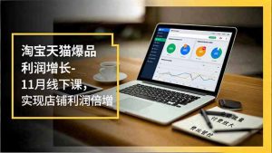 淘宝天猫爆品利润增长-11月线下课,免费流量、付费放大、费比管控,实现店铺利润倍增-沧海聊项目