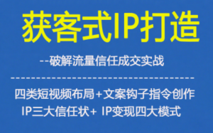 获客型IP打造，破解流量信任成，四类短视频布局+文案钩子指令创作IP三大信任状+IP变现四大模式-沧海聊项目