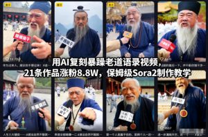 用AI复刻暴躁老道语录视频，21条作品涨粉8.8W，保姆级Sora2制作教学-沧海聊项目