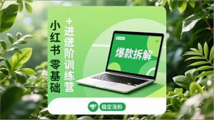 小红书零基础+高阶训练营：安全养号、爆款拆解、长效运营，实现稳定涨粉与变现-沧海聊项目