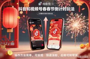抖音和视频号,春节倒计时玩法,操作方法简单,可实现快速涨粉,后期可转带货-沧海聊项目