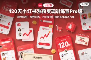 120天小红书涨粉变现训练营Pro版,精准涨粉,高效变现,为你量身打造的实战解决方案-沧海聊项目