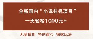 全新国内小说挂G项目,多窗口无脑跑,一天轻松1k+,特别省心【揭秘】-沧海聊项目