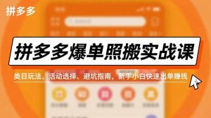 拼多多爆单照搬实战课，类目玩法、活动选择、避坑指南，新手小白快速出单赚钱-沧海聊项目