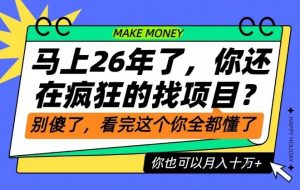 26年了，不要再疯狂的找项目了，看完这个你也可以月入十个W【揭秘】-沧海聊项目