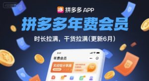 拼多多年费会员，实经验分享操，时长拉满，干货拉满(更新12月)-沧海聊项目