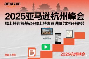 2025亚马逊杭州峰会,线上特训营基础+线上特训营进阶(文档+视频)-沧海聊项目